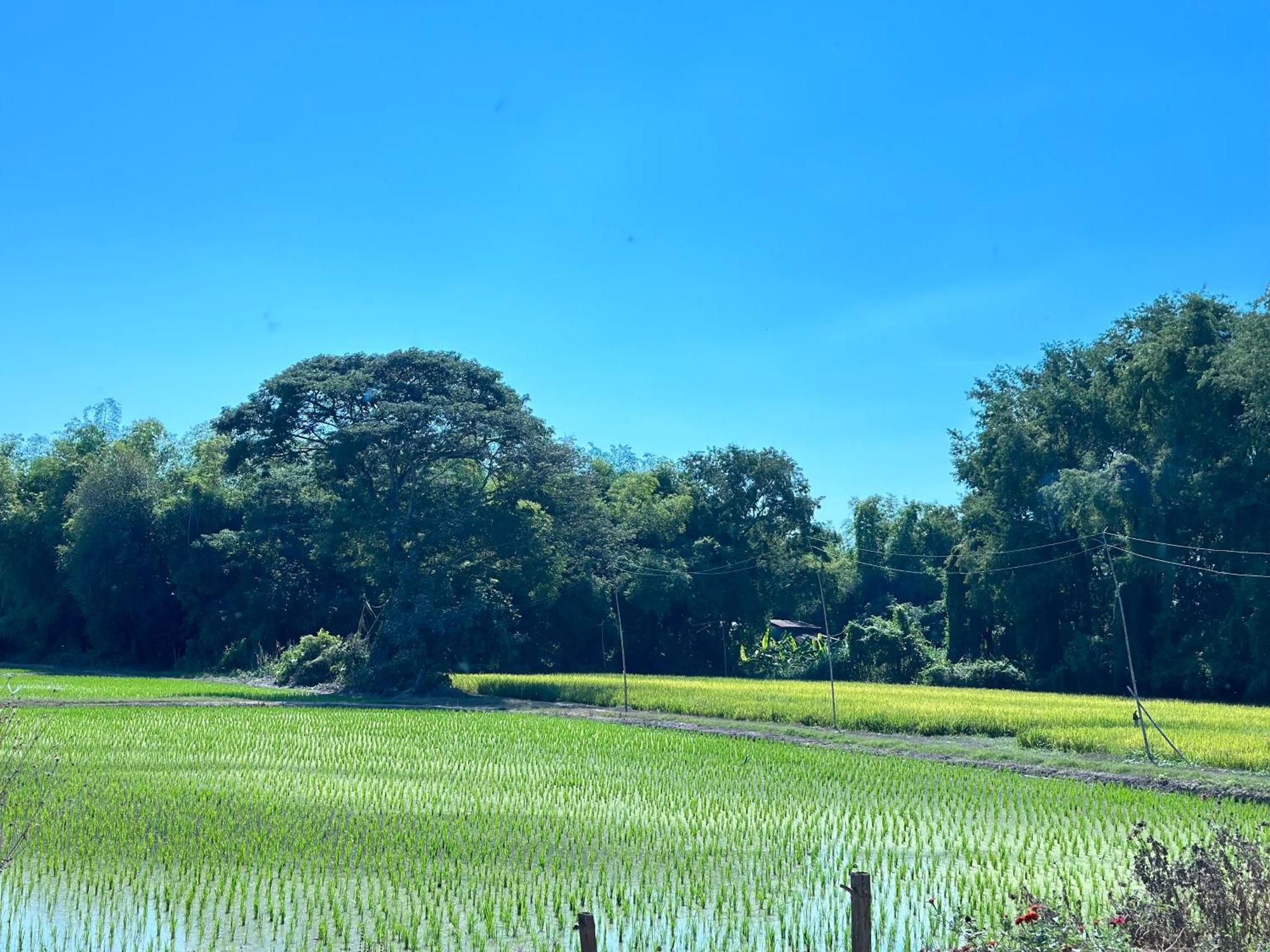 Ban Suweena ウタイターニー エクステリア 写真